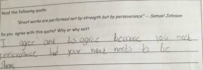 Students reflected on their own ideas about persistence prior to learning about it formally.